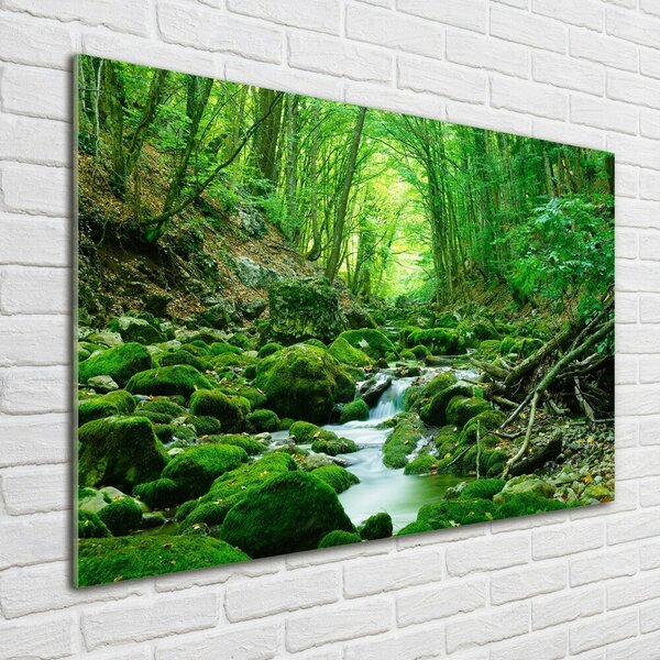 Tablou Printat Pe Sticlă Stream în pădure