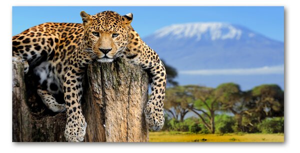 Tablou din Sticlă Leopard pe un ciot de copac