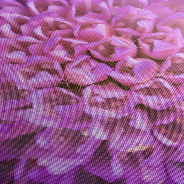 Tablou detailat cu floare (90x60 cm)