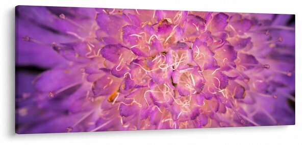Tablou detailat cu floare (120x50 cm)