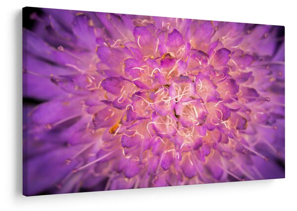 Tablou detailat cu floare (90x60 cm)