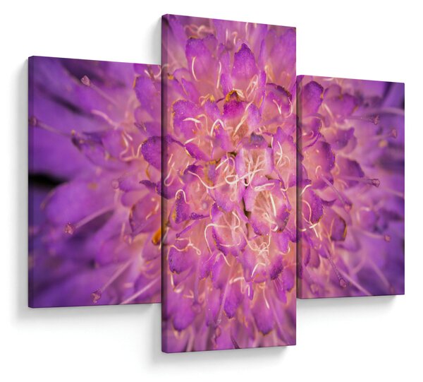 Tablou detailat cu floare (90x60 cm)