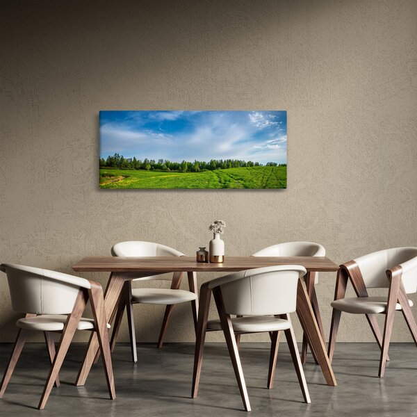 Tablou cu luncă (120x50 cm)