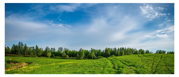 Tablou cu luncă (120x50 cm)