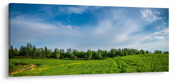 Tablou cu luncă (120x50 cm)