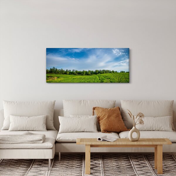 Tablou cu luncă (120x50 cm)