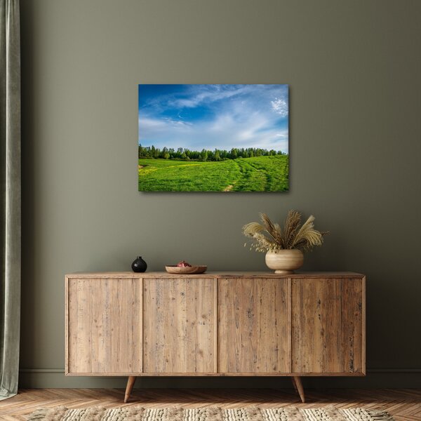Tablou cu luncă (70x50 cm)