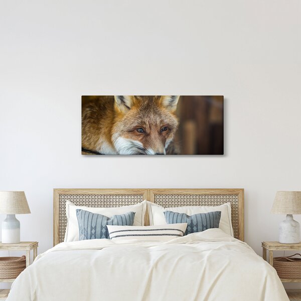 Tablou cu vulpe (120x50 cm)