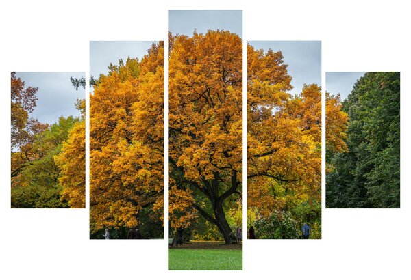 Tablou cu copac (150x105 cm)