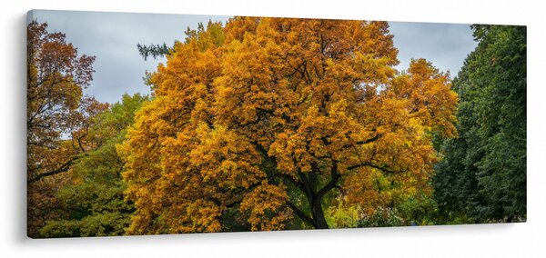 Tablou cu copac (120x50 cm)