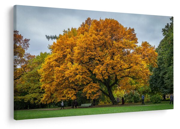 Tablou cu copac (90x60 cm)