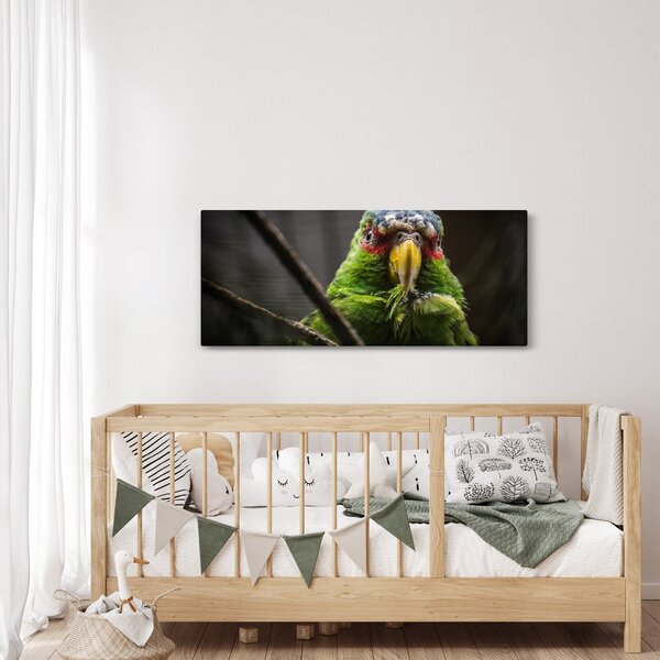Tablou cu papagal (120x50 cm)