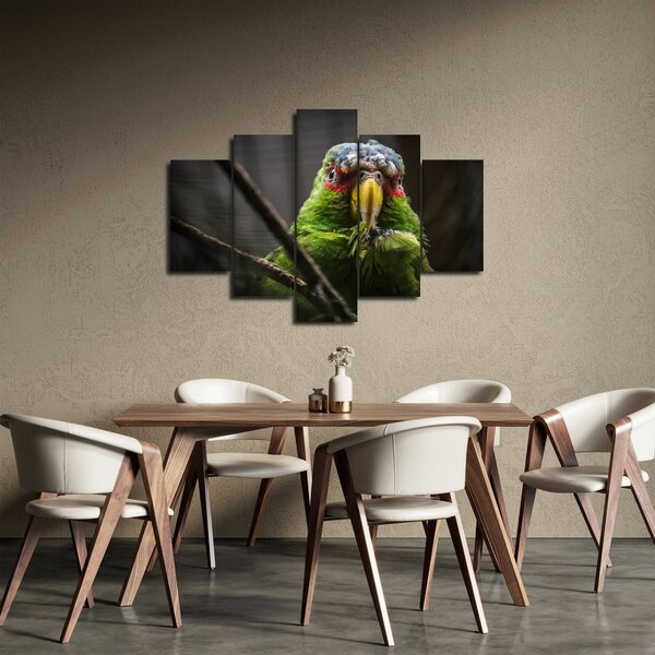Tablou cu papagal (150x105 cm)
