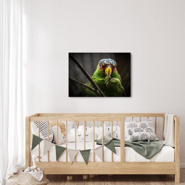 Tablou cu papagal (70x50 cm)