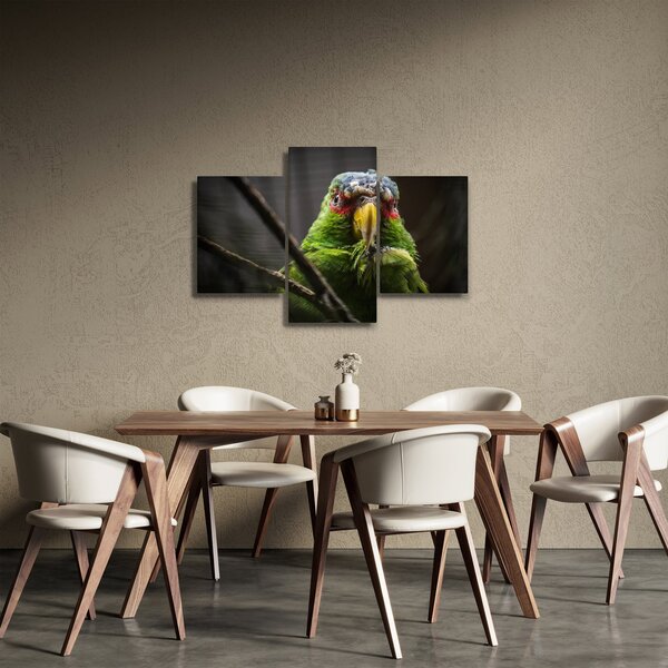 Tablou cu papagal (90x60 cm)