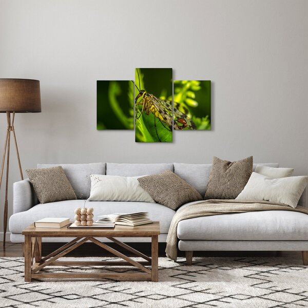 Tablou cu omide (90x60 cm)
