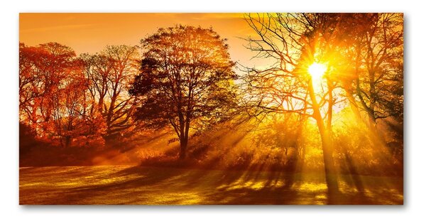 Tablou din Sticlă Apus de soare