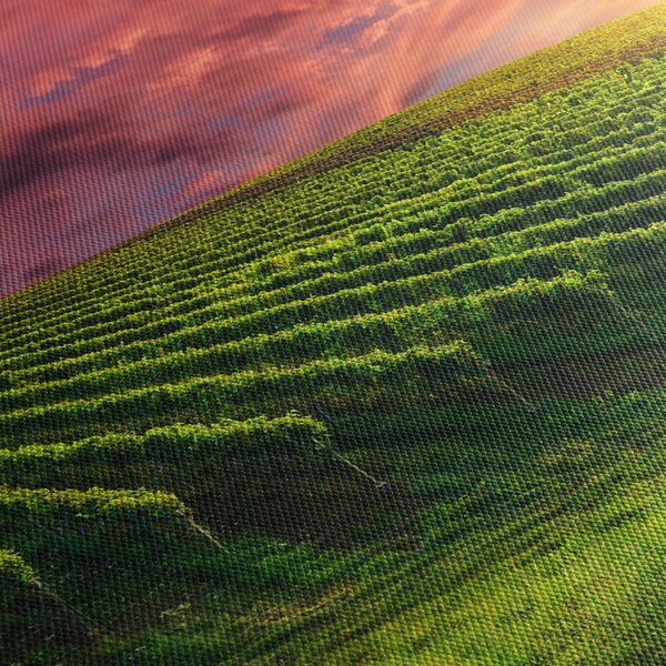 Tablou cu vie cu cerul color (90x60 cm)