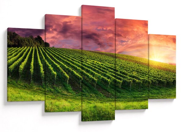 Tablou cu vie cu cerul color (150x105 cm)