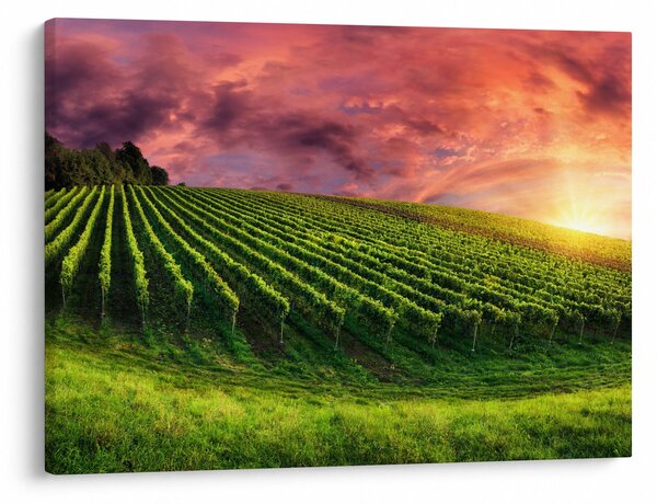 Tablou cu vie cu cerul color (70x50 cm)