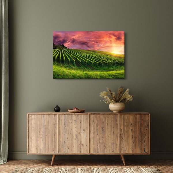 Tablou cu vie cu cerul color (90x60 cm)