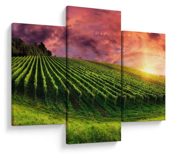 Tablou cu vie cu cerul color (90x60 cm)