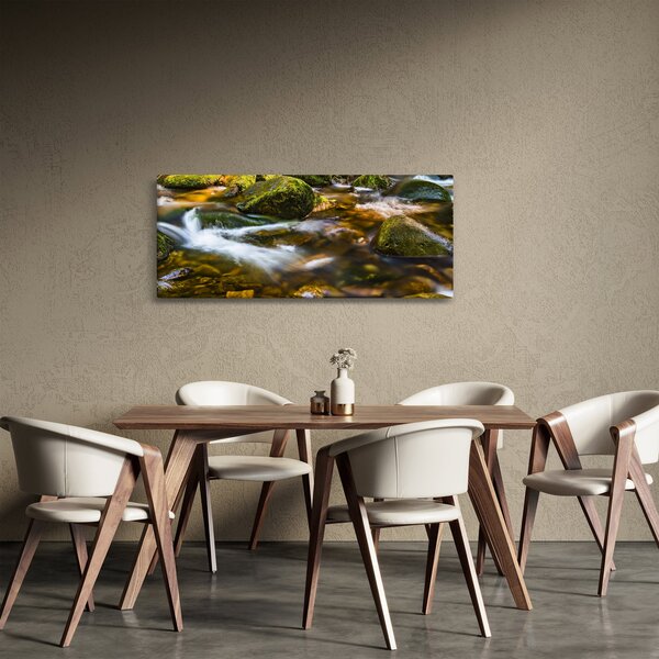 Tablou cu părâu (120x50 cm)
