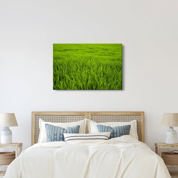 Tablou cu iaraba (90x60 cm)