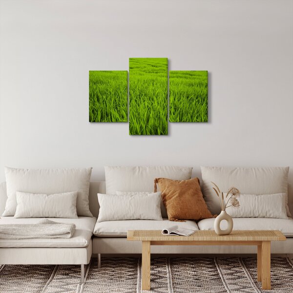 Tablou cu iaraba (90x60 cm)