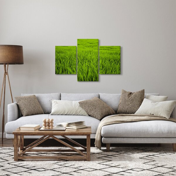 Tablou cu iaraba (90x60 cm)