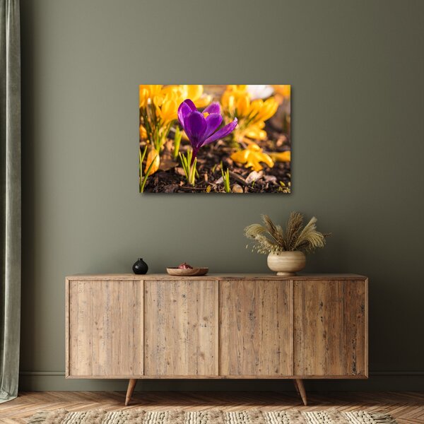 Tablou cu floare violetă (70x50 cm)