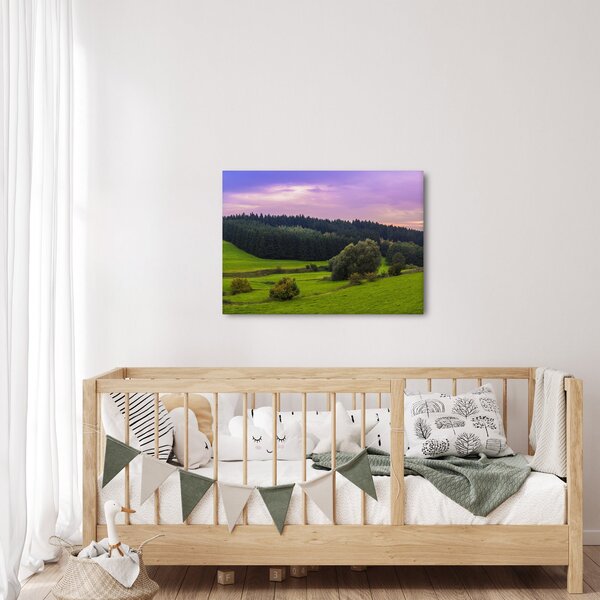 Tablou cu lunca (70x50 cm)