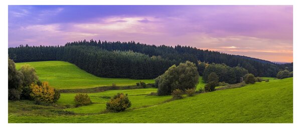 Tablou cu lunca (120x50 cm)