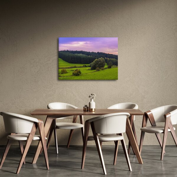 Tablou cu lunca (70x50 cm)