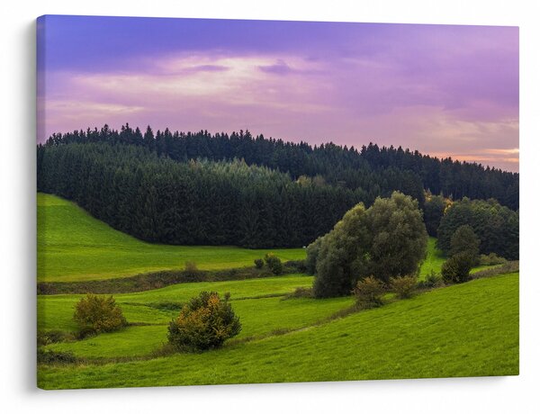 Tablou cu lunca (70x50 cm)
