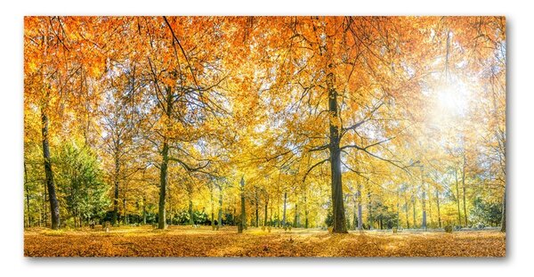 Tablou sticlă pădure în toamna