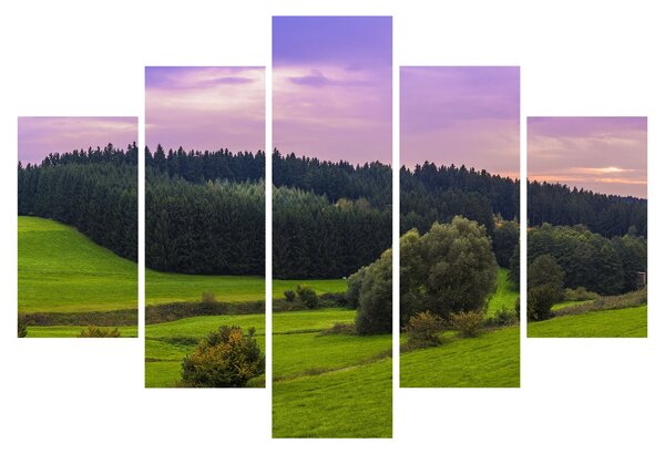 Tablou cu lunca (150x105 cm)