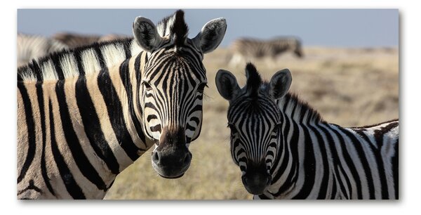 Tablou din Sticlă două zebre