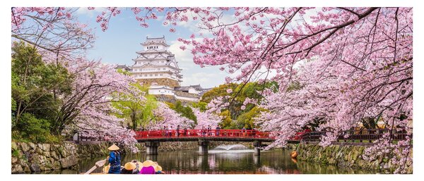 Tablou cu cireș japonez (120x50 cm)