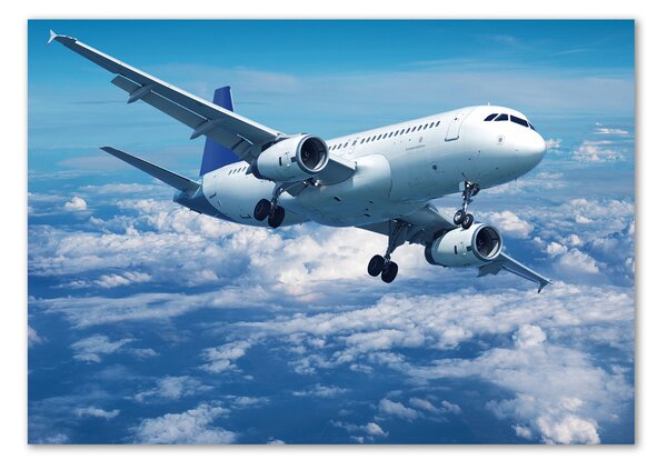 Fotografie imprimată pe sticlă Avionul în nori