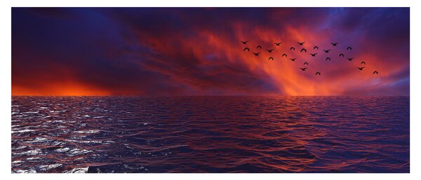 Tablou cu mare și păsări (120x50 cm)
