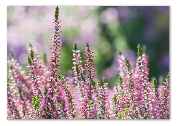 Imagine de sticlă flori Heather