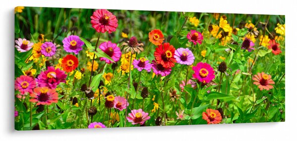 Tablou cu flori de luncă (120x50 cm)