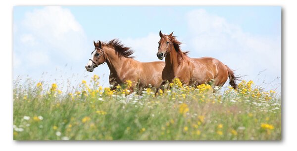 Tablou sticlă Doi cai în galop