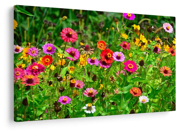 Tablou cu flori de luncă (90x60 cm)