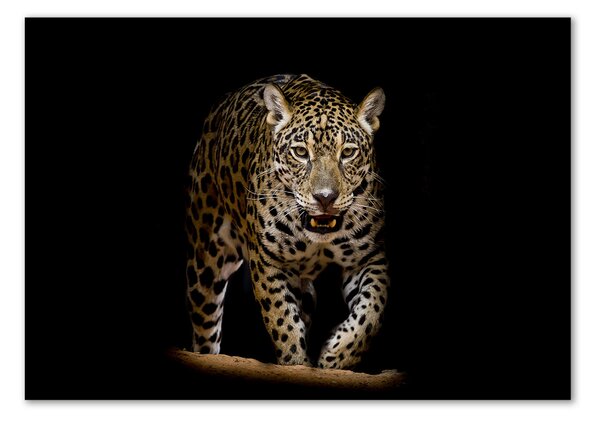 Tablou din Sticlă Jaguar
