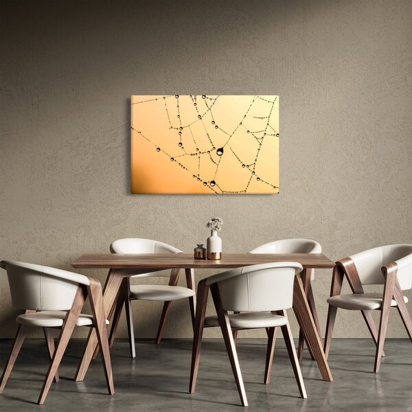 Tablou cu pânză de pâianjen cu rouă (90x60 cm)