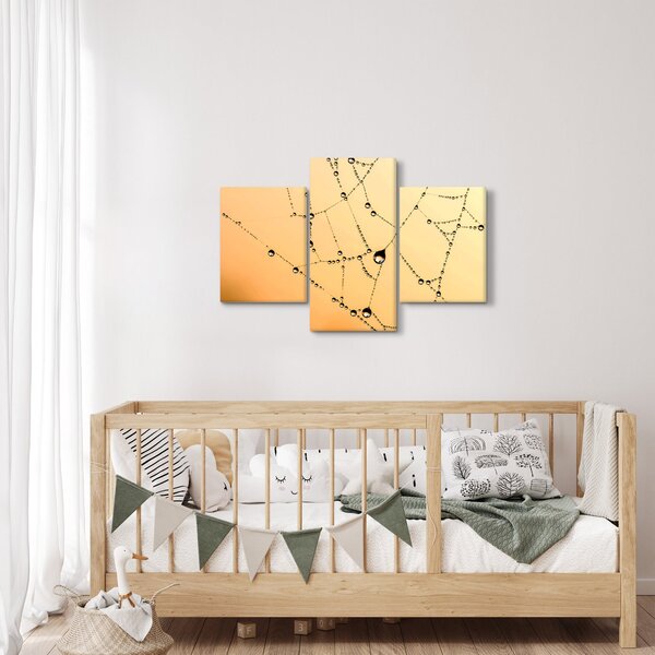 Tablou cu pânză de pâianjen cu rouă (90x60 cm)