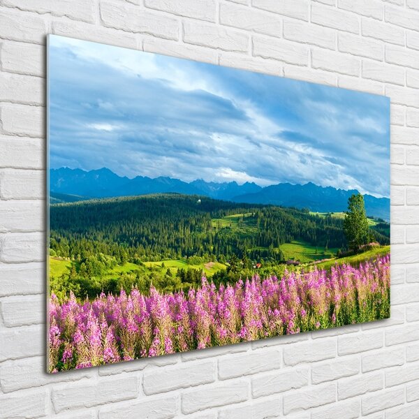 Fotografie imprimată pe sticlă Lavanda în munți