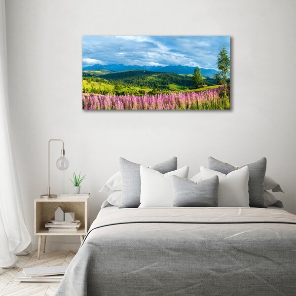 Fotografie imprimată pe sticlă Lavanda în munți